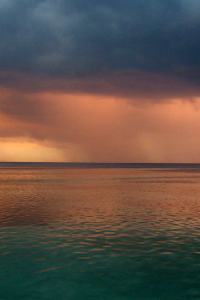 Ямайский дождь