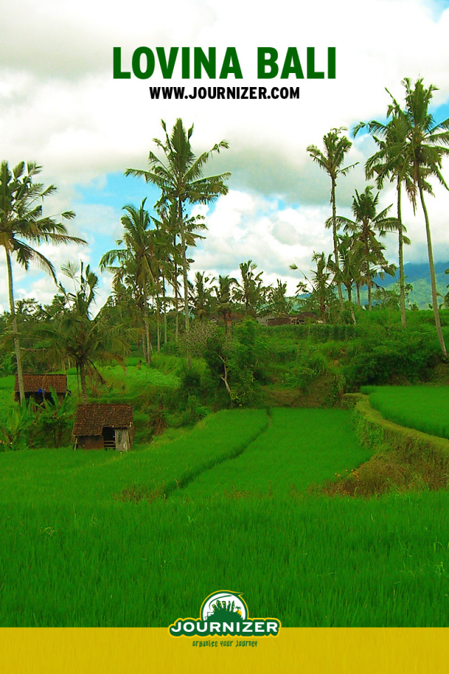 Lovina Бали