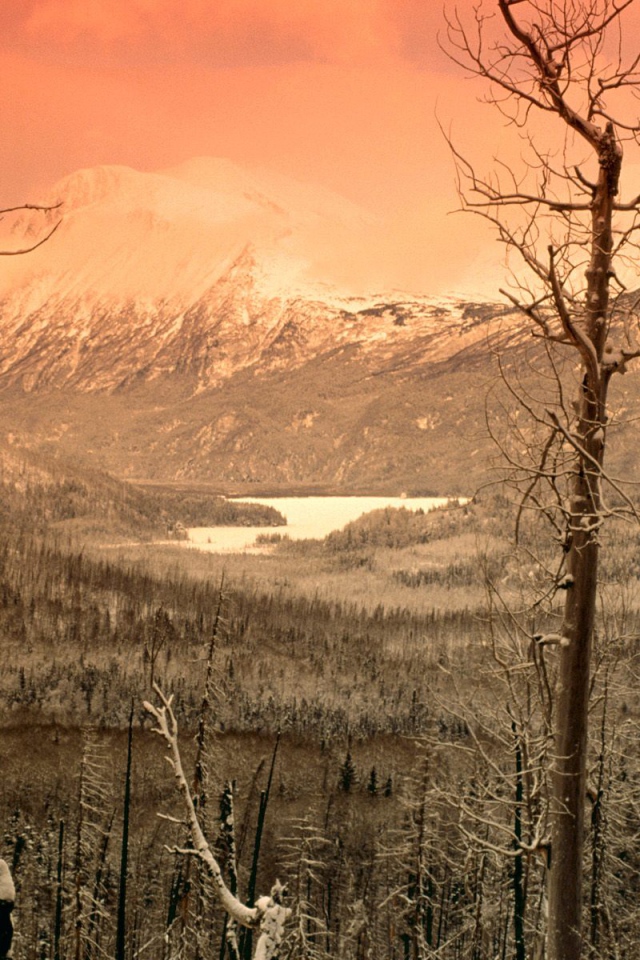 Охваченный зимой