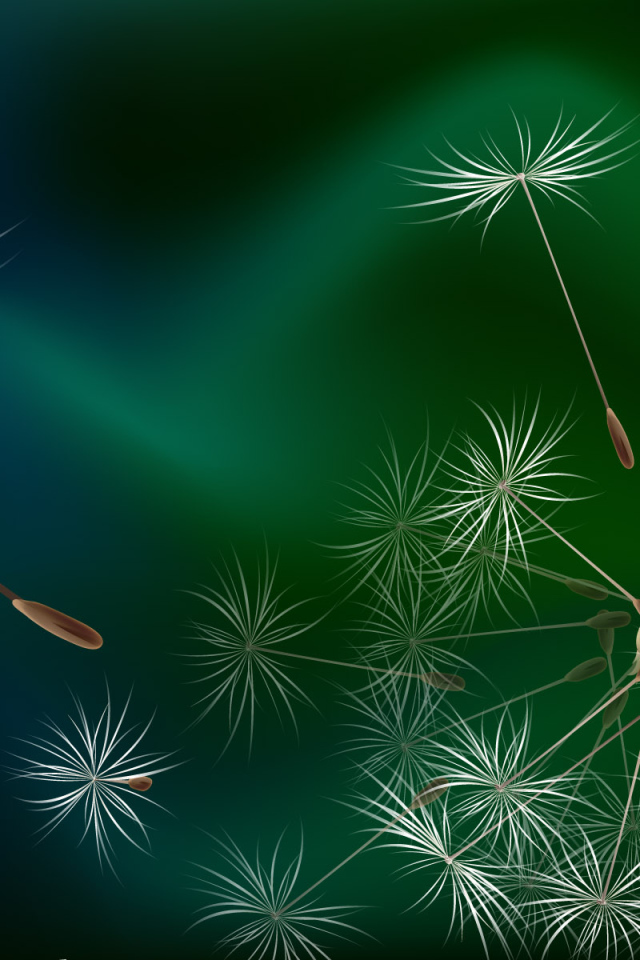 Семена одуванчика