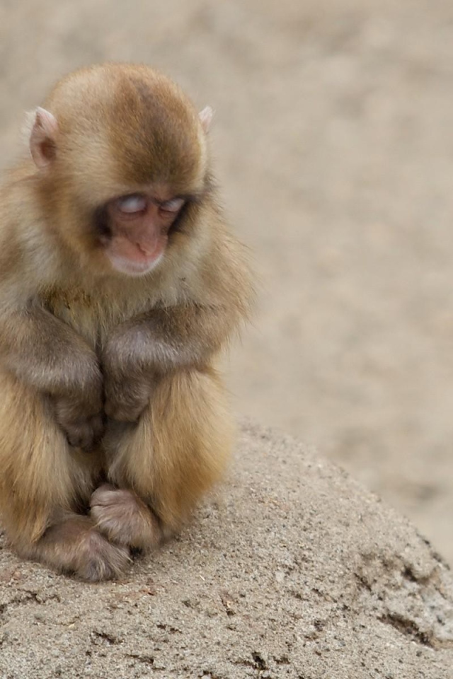 Холодная пора