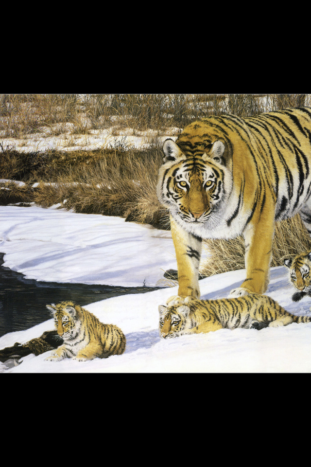 Полосатые тигры