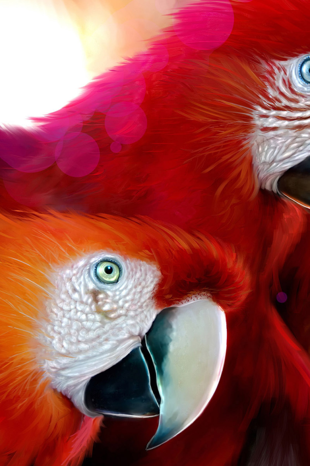 Красные попугаи