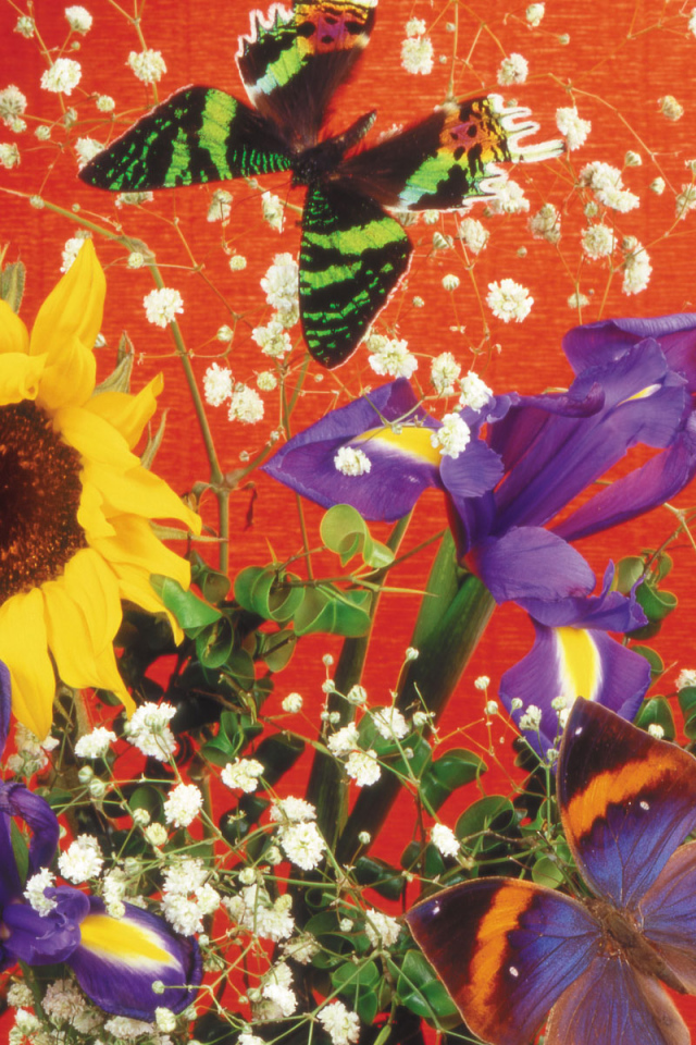 Бабочка и букет