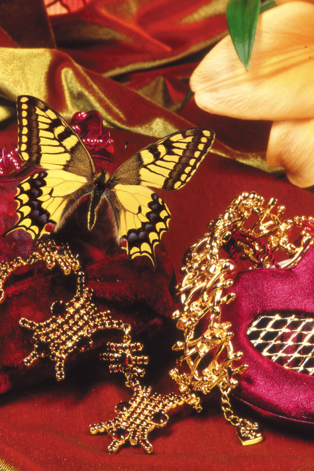 Бабочка и бархат