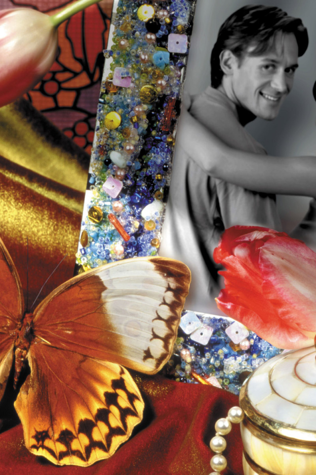 Бабочка у фотографии