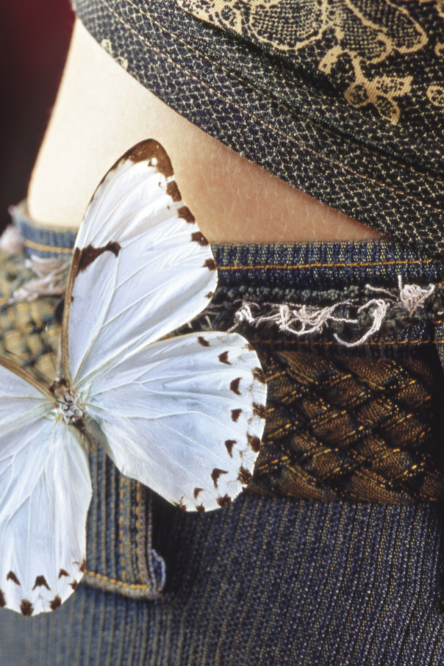 Бабочка на бедрах