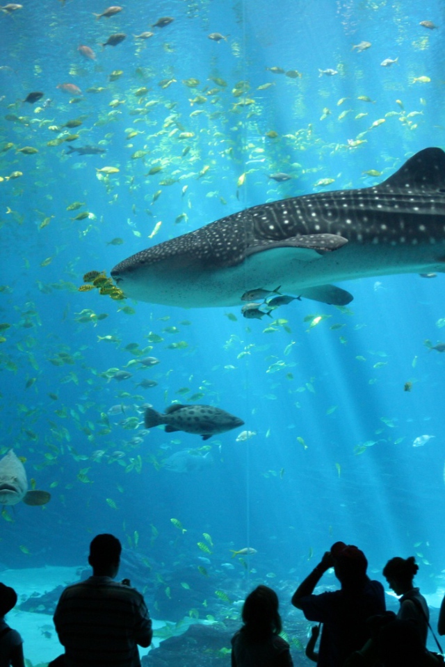 Океанариум