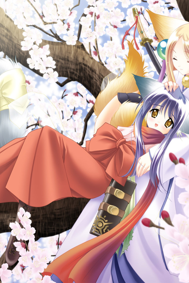 Под ветвями сакуры