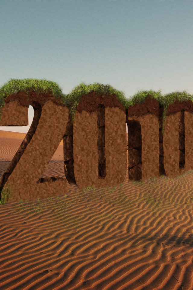 Новый год 2010 пустыня