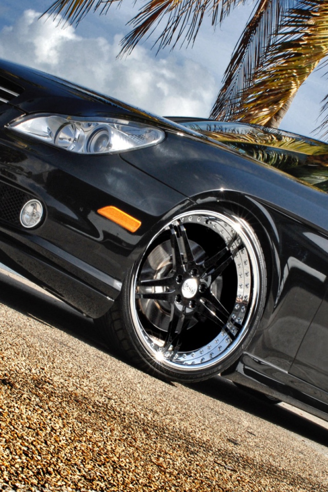 Черный Мерин