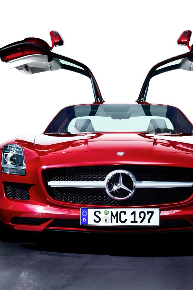 Красивый Мерин