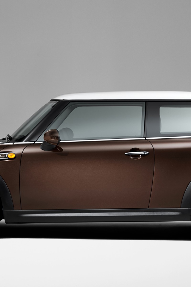 Коричневый Мини