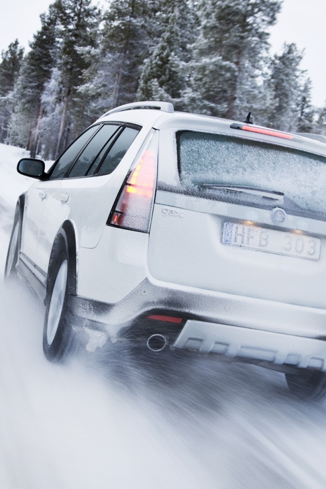 На заснеженной дороге