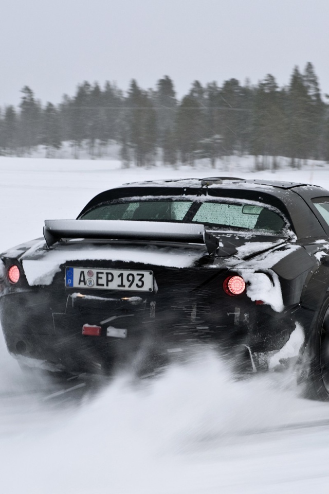 Зимняя гонка