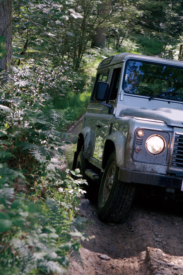 Непроходимая дорога