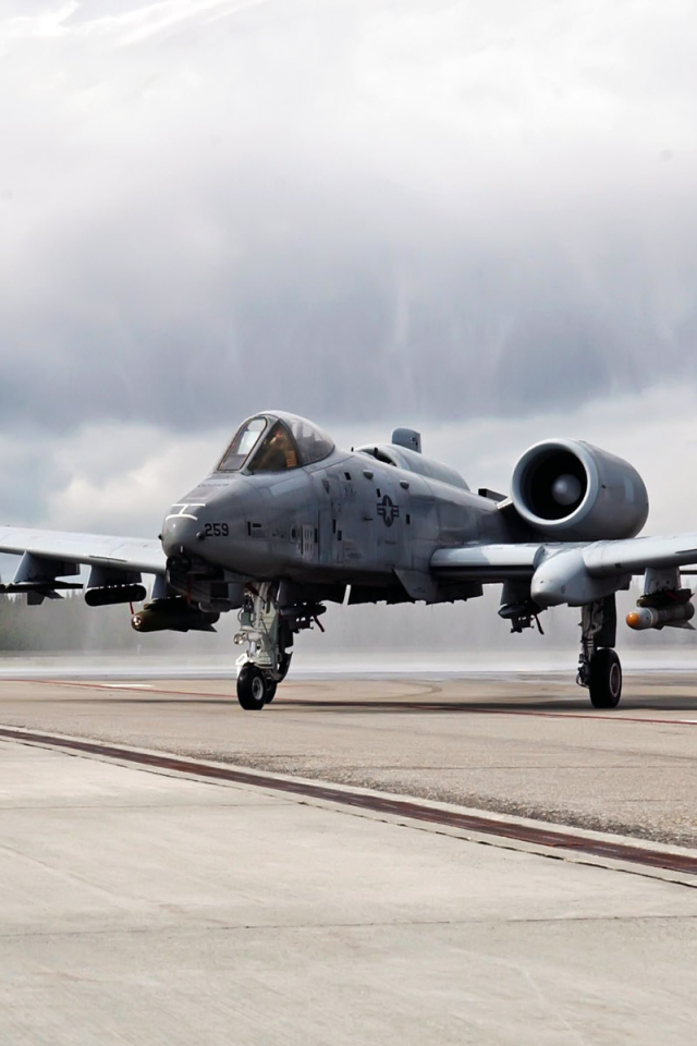 Военная авиация / истребитель на посадочной полосе