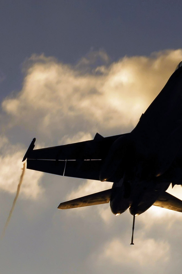 Военная авиация / на посадке