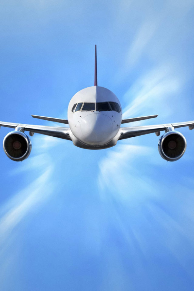 Птица счастья завтрашнего дня