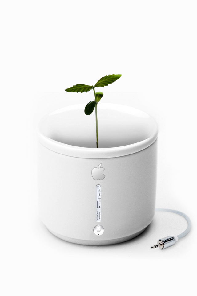 Apple iFlower