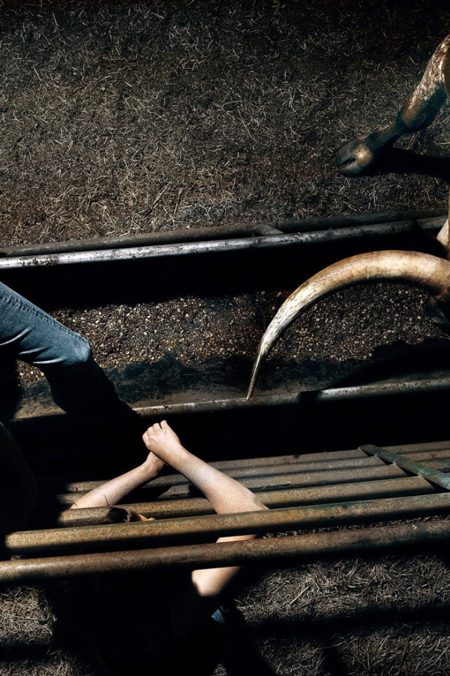 Красавица и чудовище