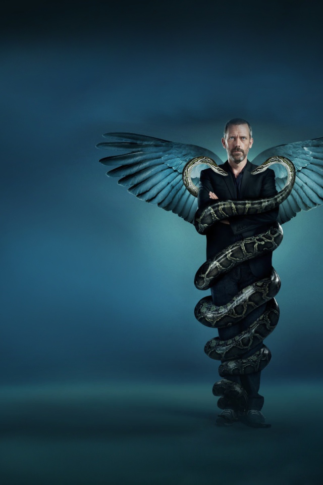 Хаос медицина