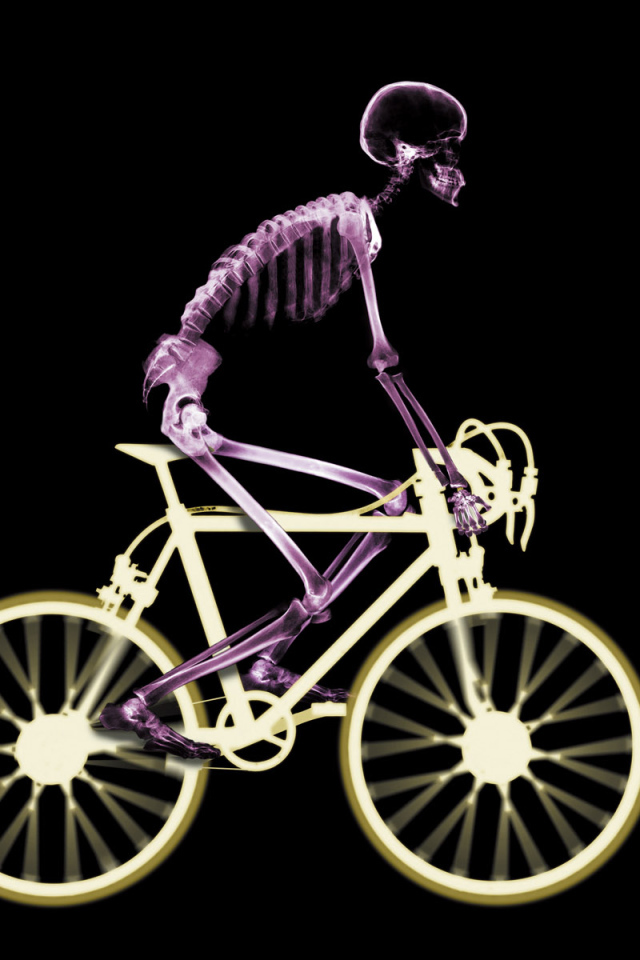 Велосипедист