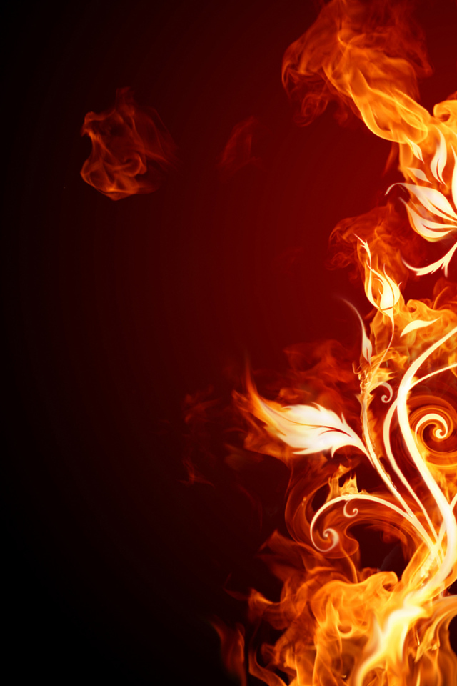 Огненный цветок