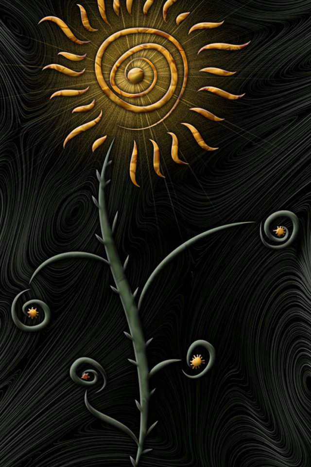 Цветок солнца