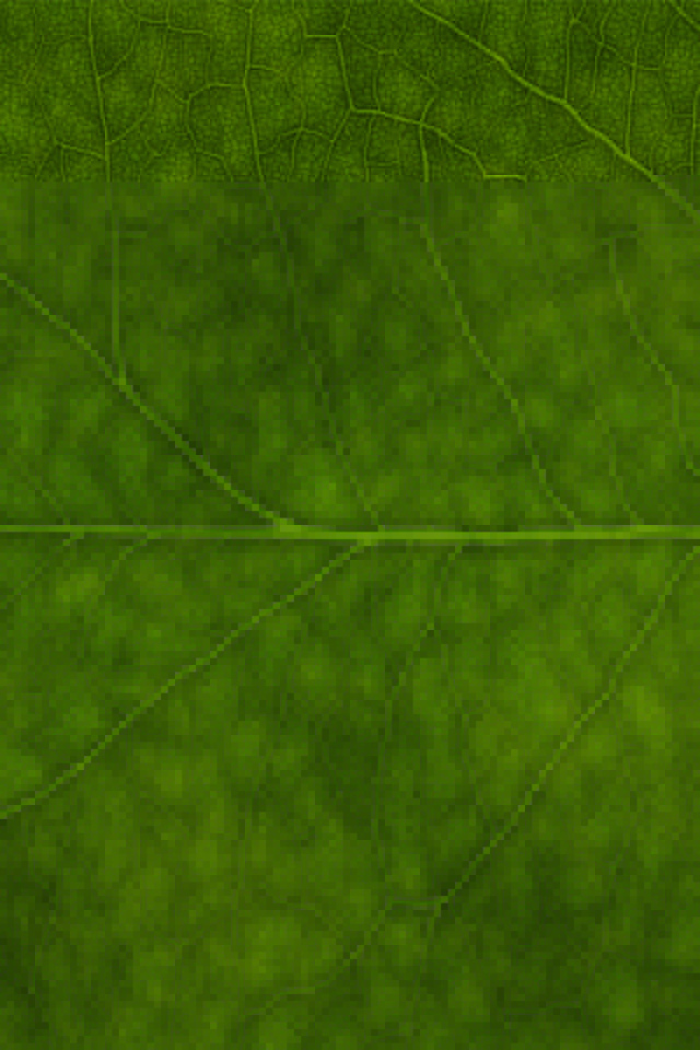 Зеленая листва