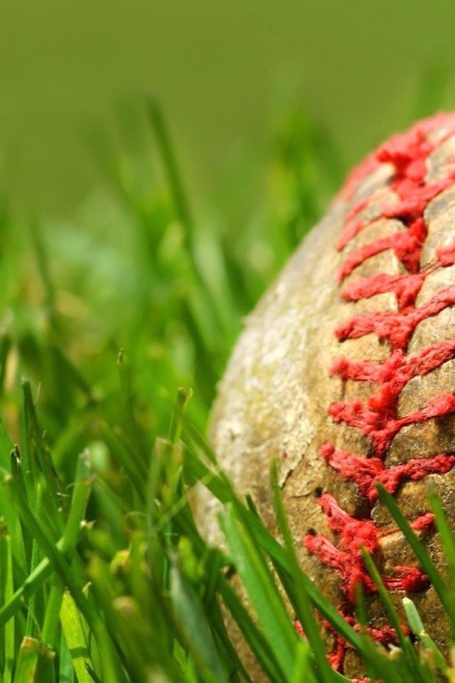 Зеленая трава и мяч