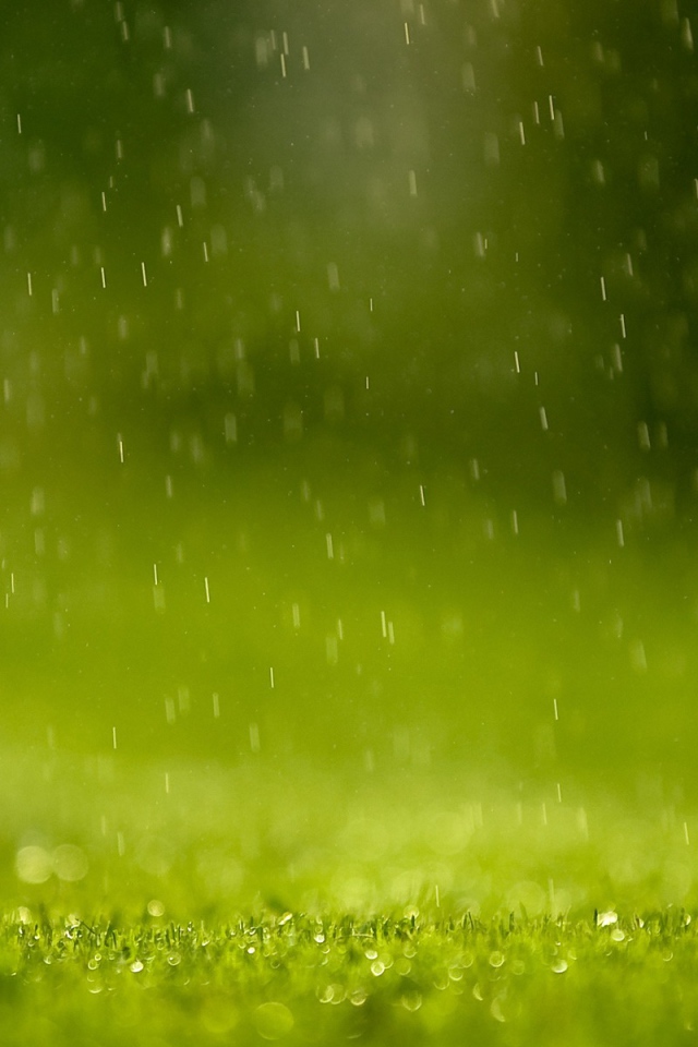 Зеленый дождь