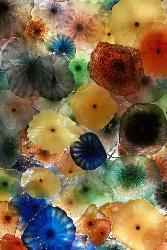 Разноцветные медузы