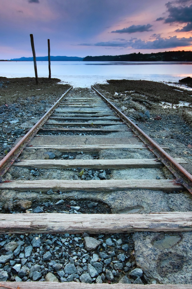 Дорога в никуда