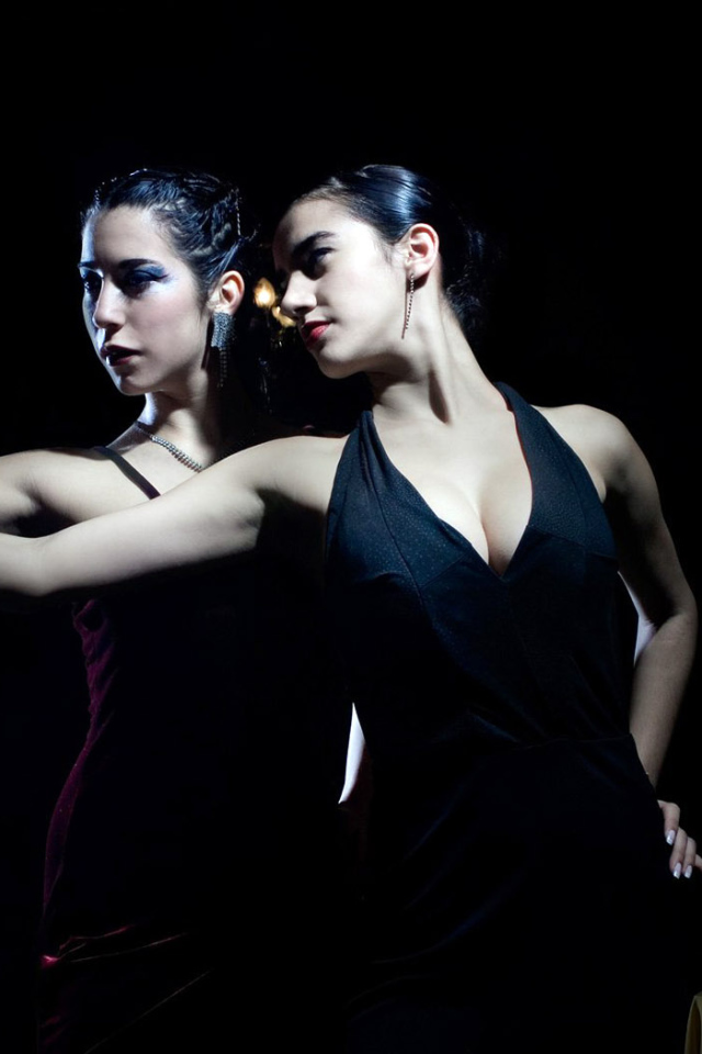 Светские львицы