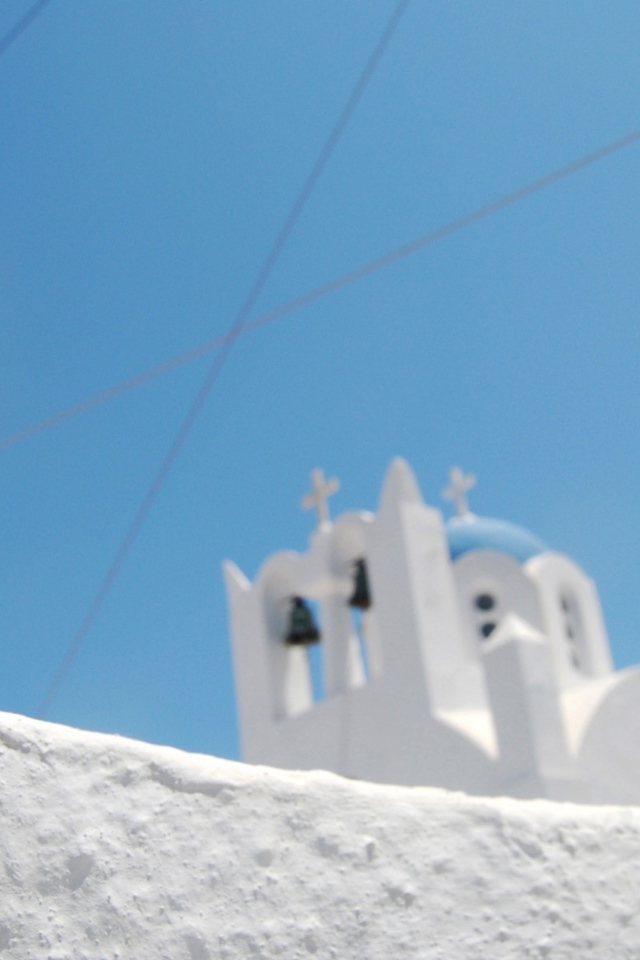 Паук на белой каменной стене