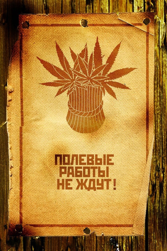 Сбор веселого урожая