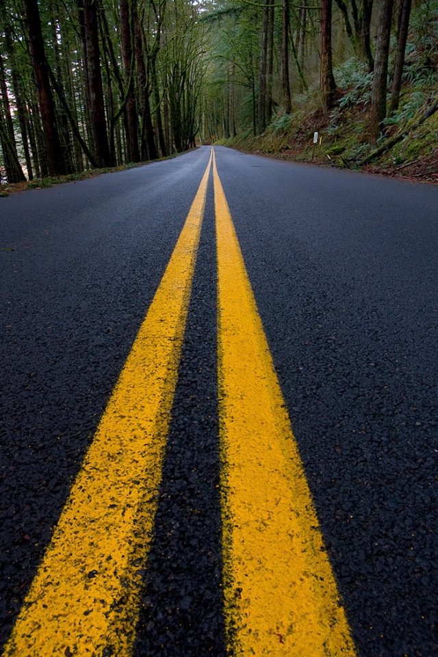 Сплошная линия