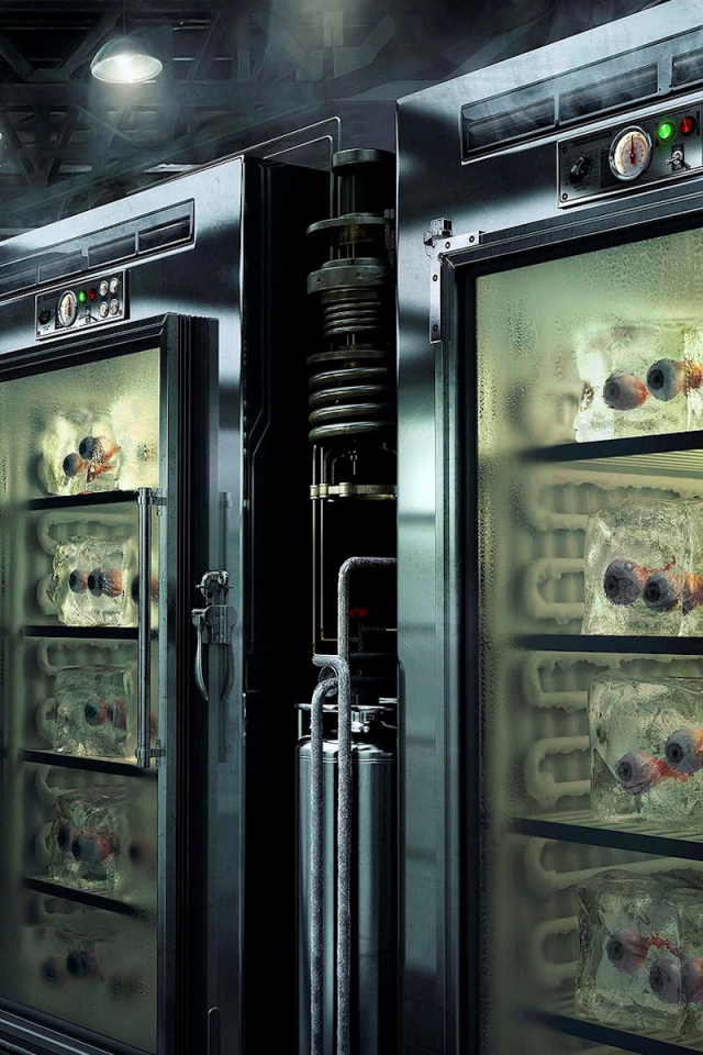 Они много видели