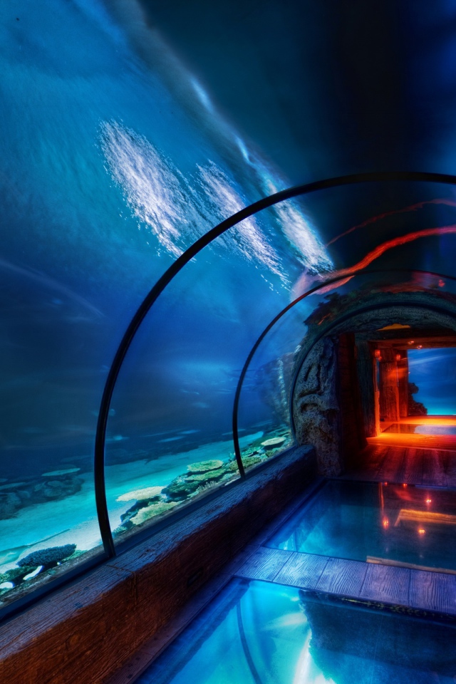 Подводный музей