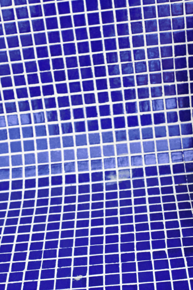 Зебра в бассейне