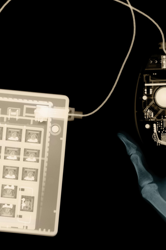 Рентген клавиатуры и мышки