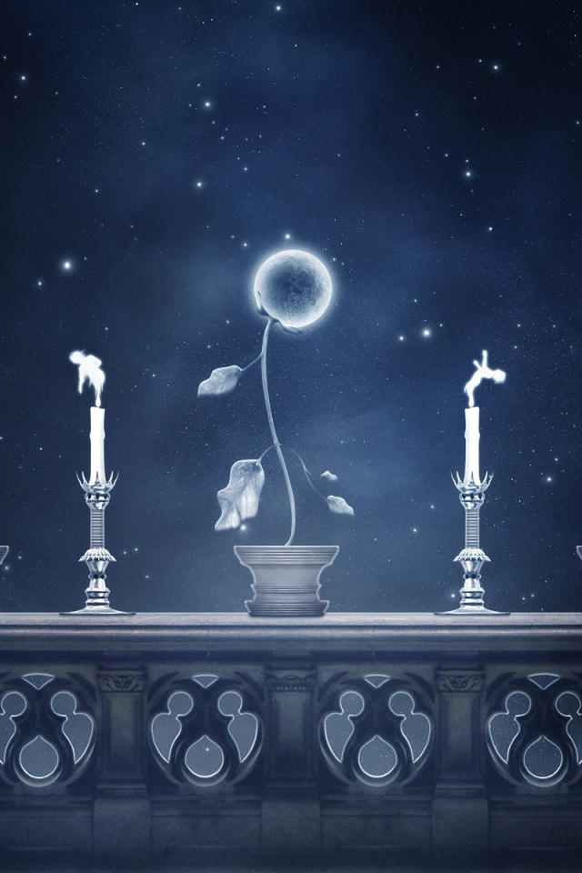 Небесные цветы