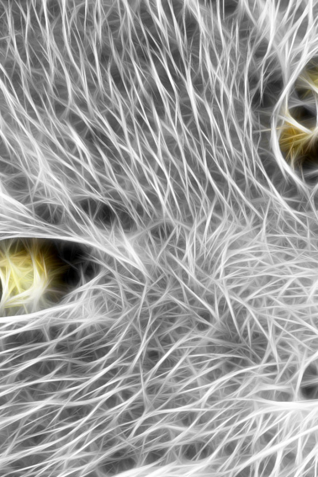 Кошачья мордочка