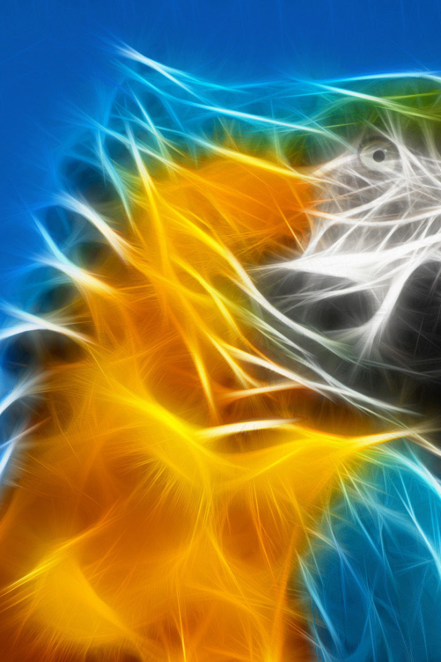 Разноцветный попугай