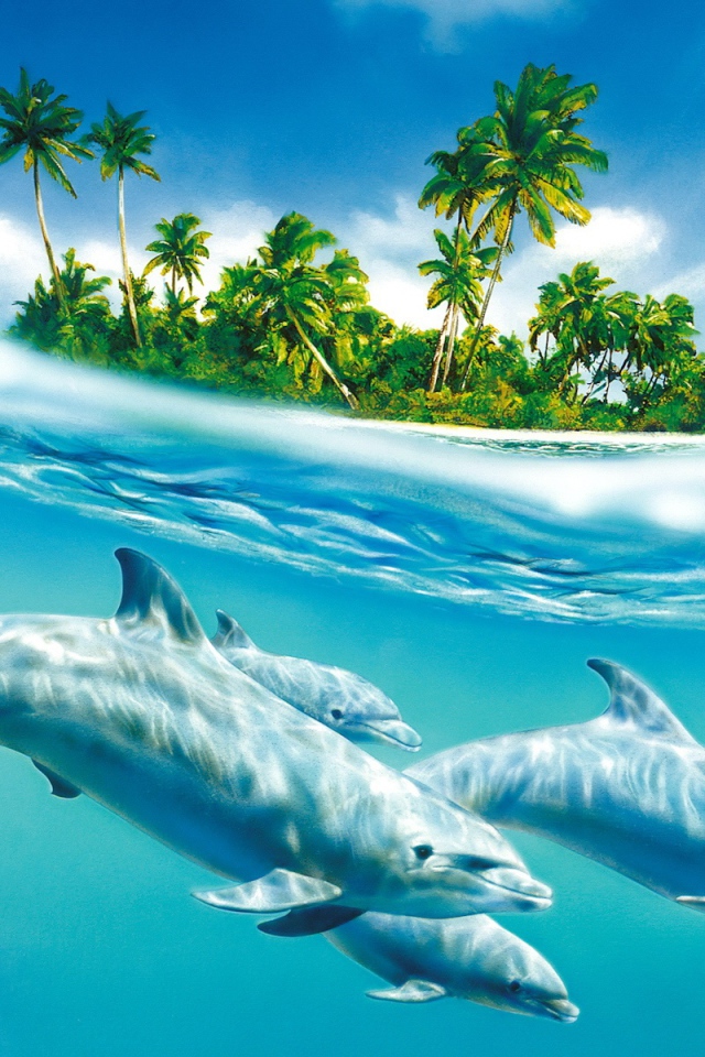 Семейство дельфинов