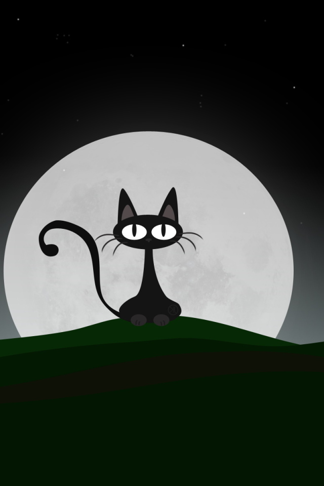 Ночная кошка