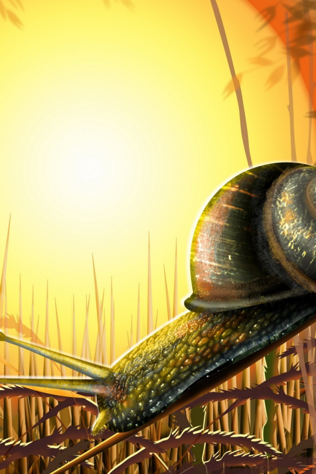 Улитка под солнцем