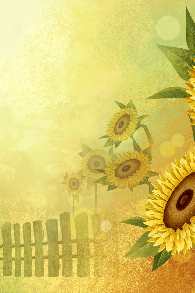 Цветы подсолнуха