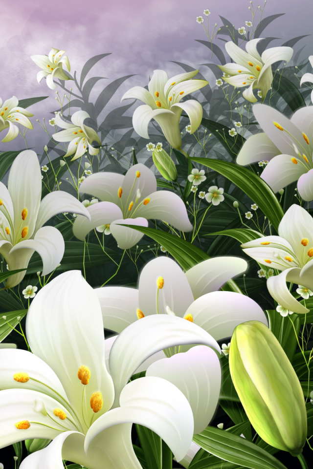 Поле белых цветов